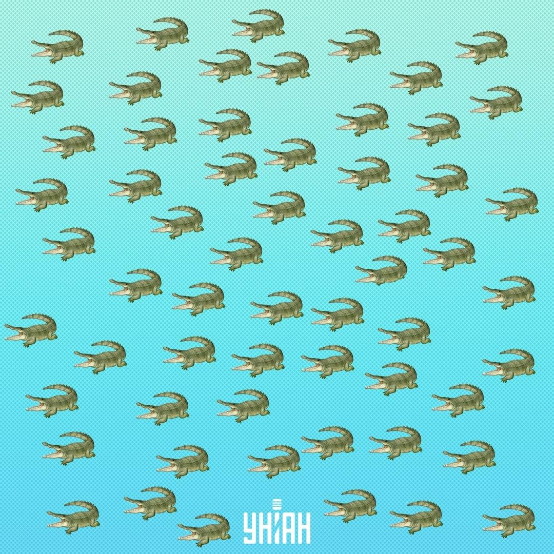 Krybdyret er skjult, men du bør se det om 15 sekunder / Collage Moje