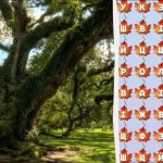 Kun 2 procent af genierne kan finde ordet 'træ' på 10 sekunder: et fantastisk puslespil Kun 2 procent af genierne kan finde ordet ‘træ’ på