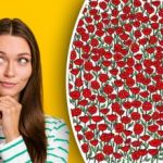 Kun de superopmærksomme finder krabben på billedet: Test din IQ på 25 sekunder Kun de superopmærksomme finder krabben på billedet: Test din IQ