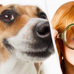 Kun en ægte IQ-titan kan se en hund i sneen